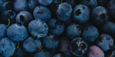 All about Berries: 10 Curiosities and Health Benefits
