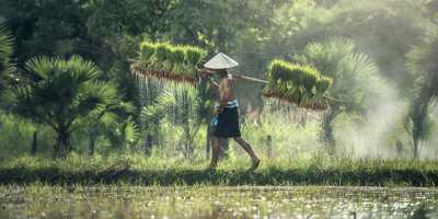 Benefits of Rice Water