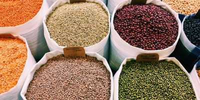 Dried beans